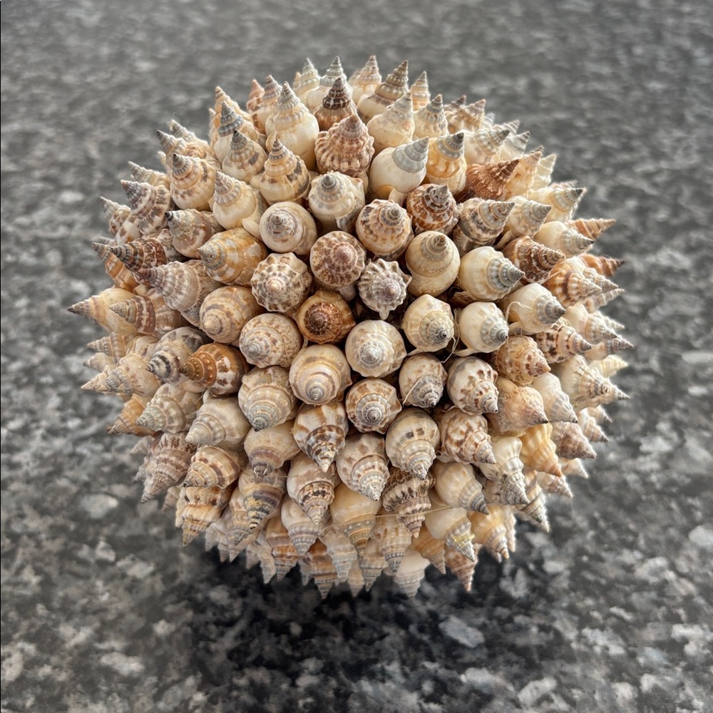 Shell ball accent - Picture 2 of 2